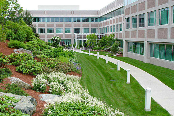 commercial lawn maintenance Downsview Ontario