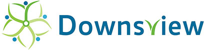 downsview ice control management service