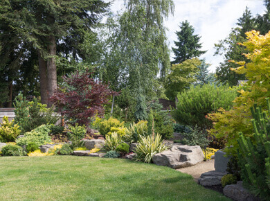 retail landscaping lawn care contractors North York