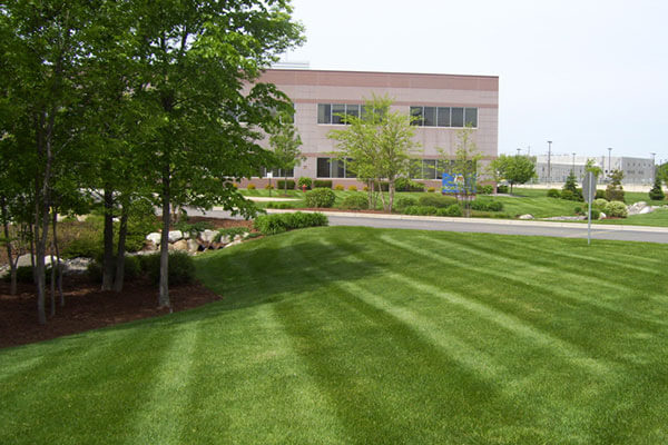 retail landscaping lawn maintenance contractors Mississauga Ontario