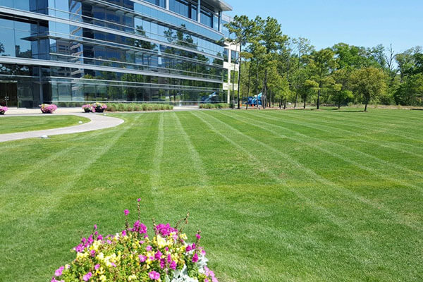 retail lawn maintenance services greater toronto