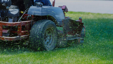 commercial grounds maintenance Scarborough 19 6