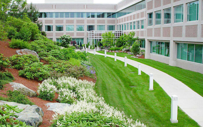 Commercial Landscape Maintenance Mississauga Ontario