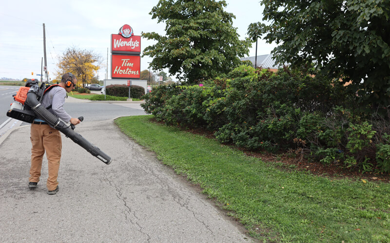 Commercial Landscape Maintenance Near Vaughan Ontario