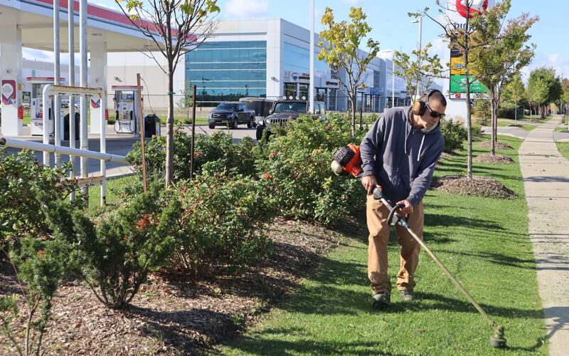 Commercial Landscapers Near Vaughan Ontario