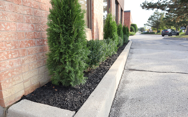 Commercial Landscapers Near Etobicoke Ontario