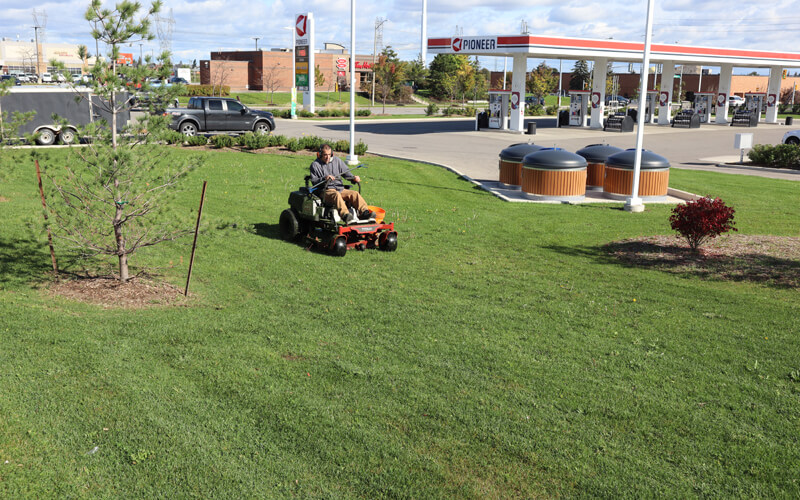 Commercial Lawn Service King Ontario