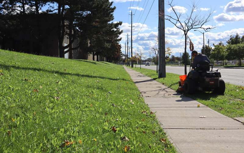 Commercial Lawn Maintenance Near Nobleton Ontario