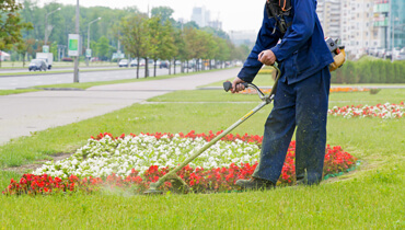 grounds maintenance Bradford 19 5