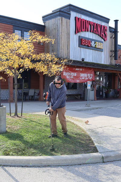 grounds maintenance services North York 22